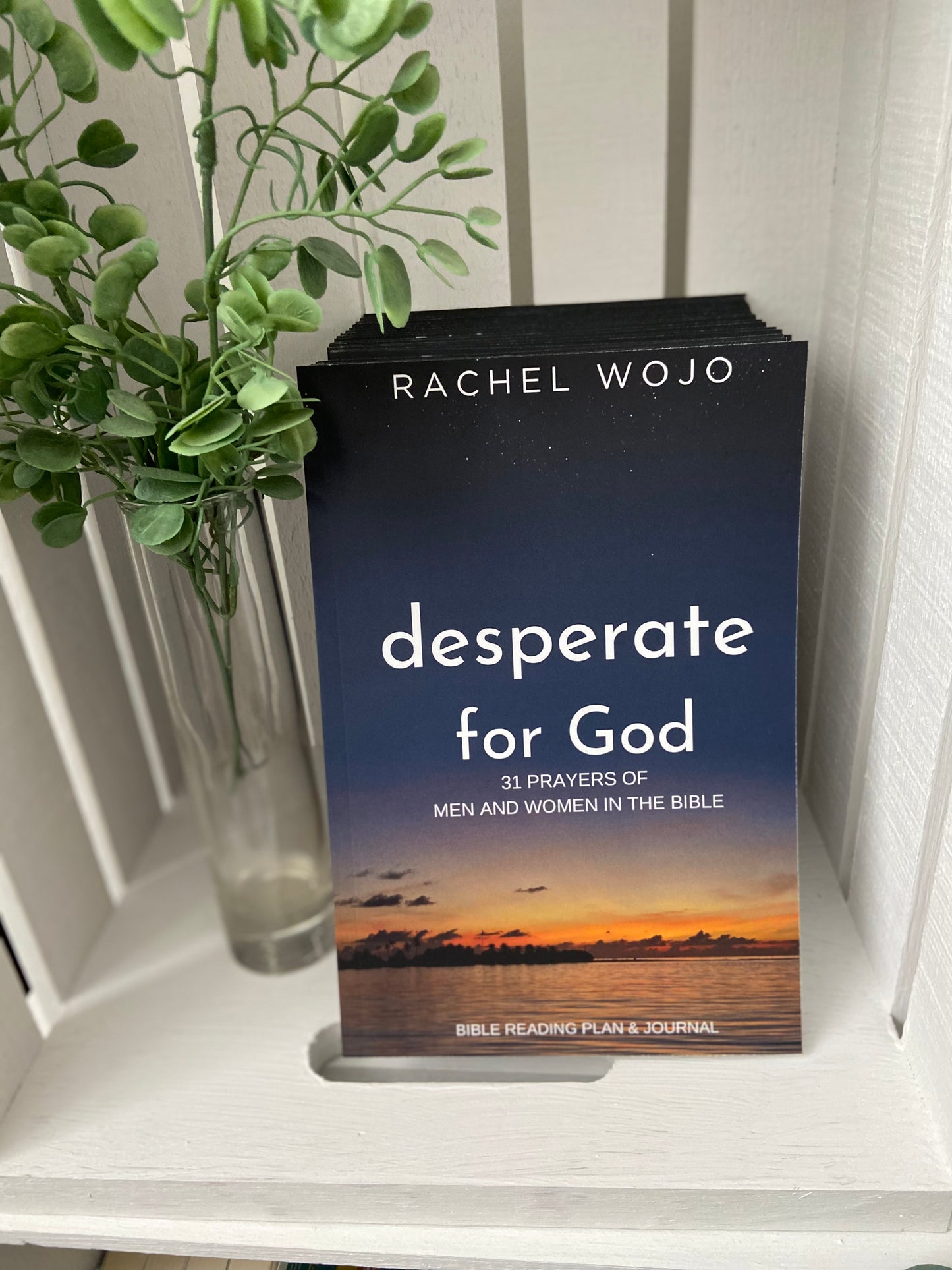 Desperate for God: 31 Prayers of Men and Women in the Bible PAPERBACK