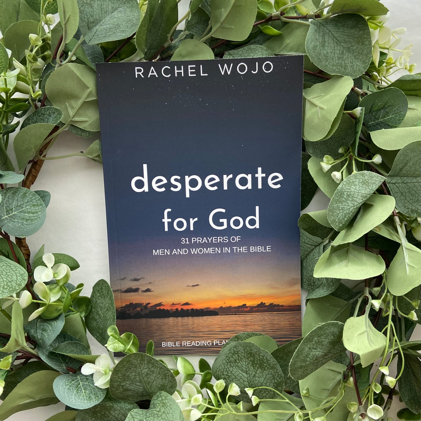 Desperate for God: 31 Prayers of Men and Women in the Bible PAPERBACK