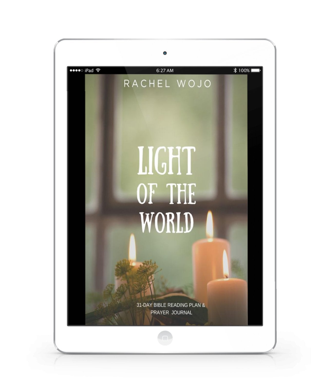 Light of the World Bible Reading Plan and Prayer Journal E-book - Rachel Wojo Shop