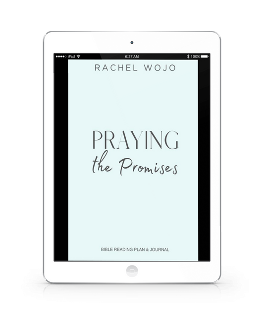 Praying the Promises Bible Reading Plan & Journal E-book