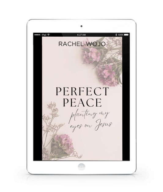 Perfect Peace Bible Reading Plan & Journal DIGITAL DOWNLOAD - Rachel Wojo Shop