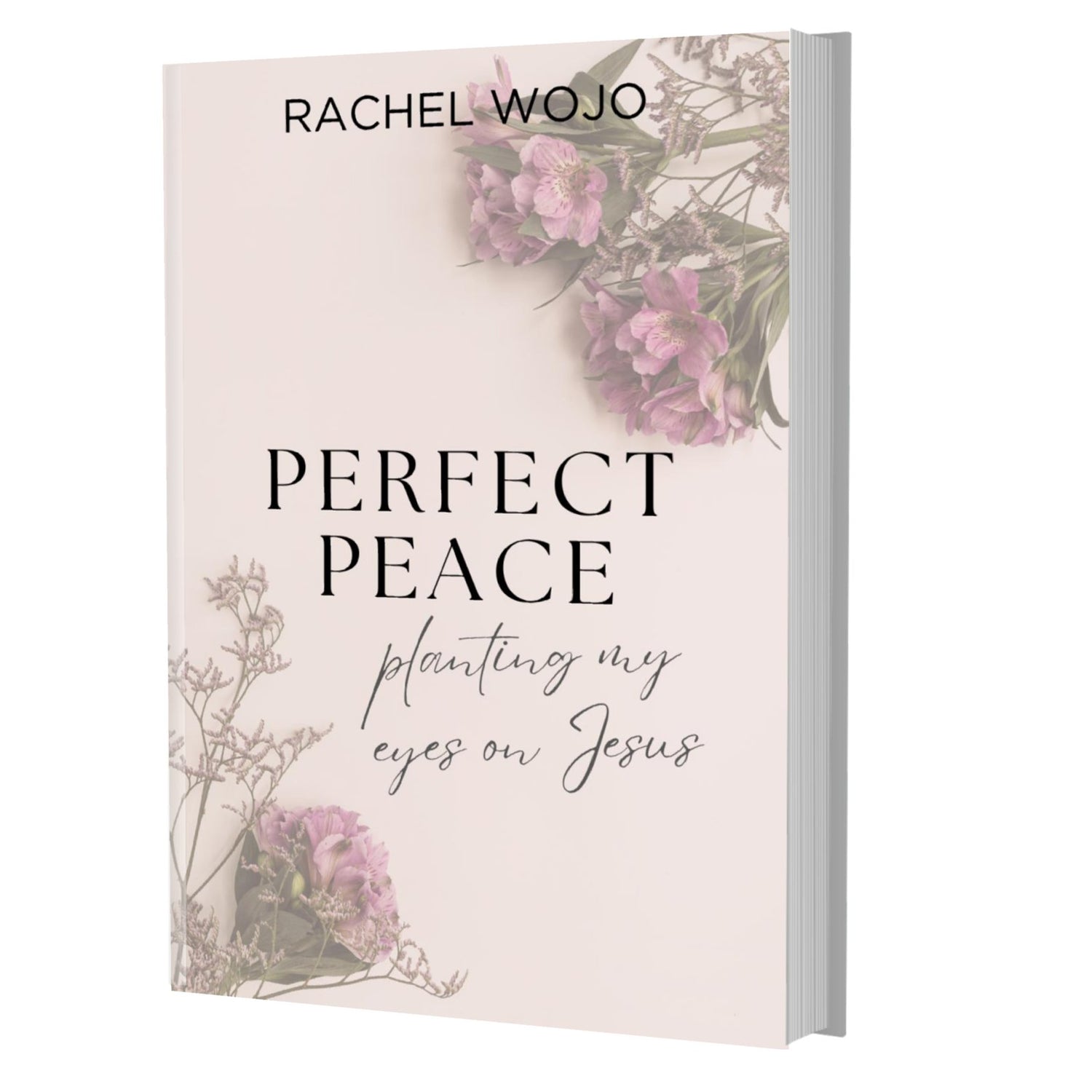 Perfect Peace Bible Reading Plan & Journal PAPERBACK - Rachel Wojo Shop