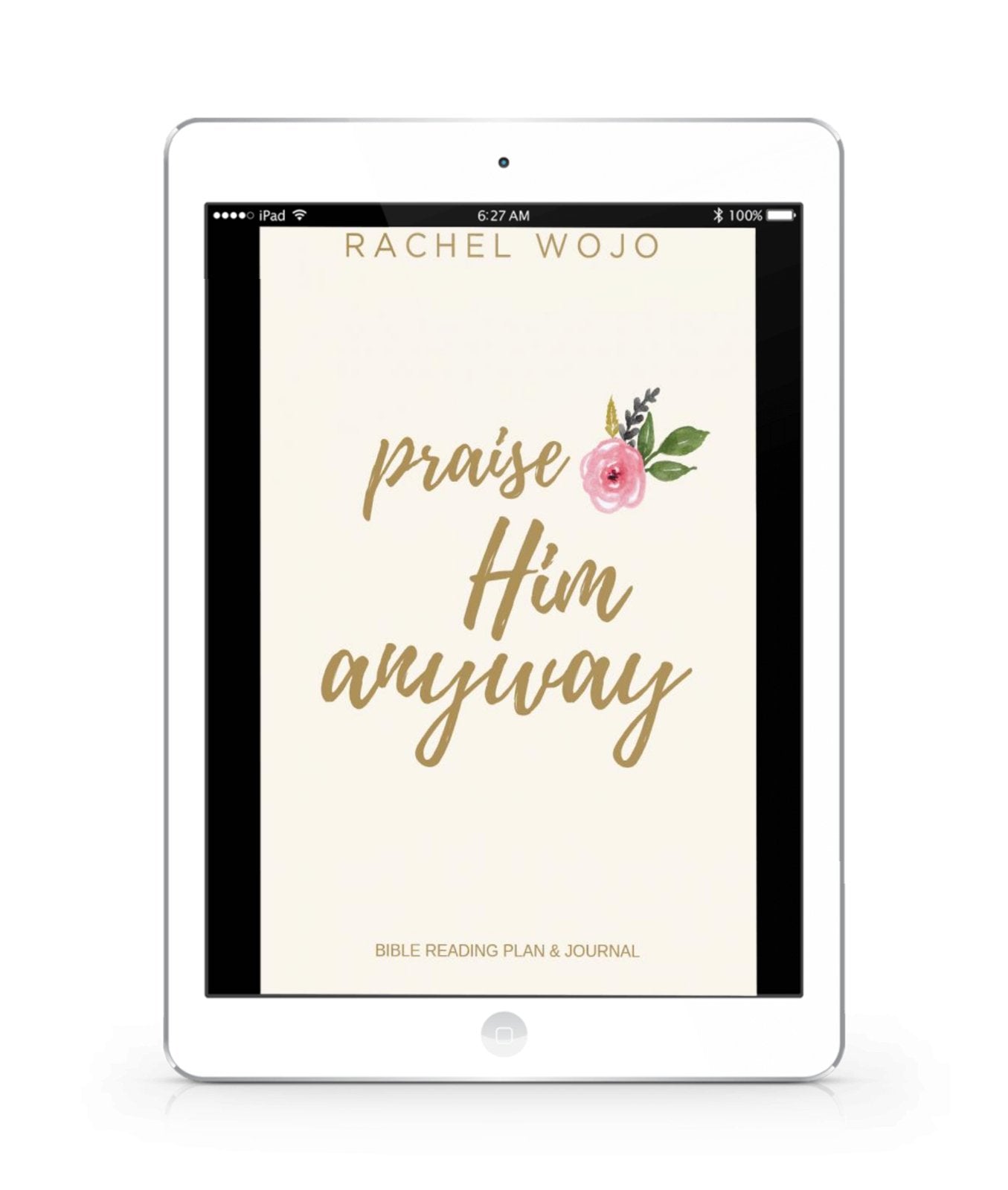 Praise Him Anyway Bible Reading Plan & Journal E-book - Rachel Wojo Shop