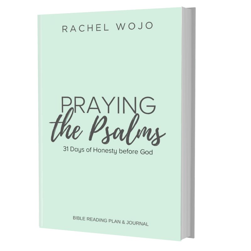 Praying the Psalms Bible Reading Plan & Journal PAPERBACK - Rachel Wojo Shop